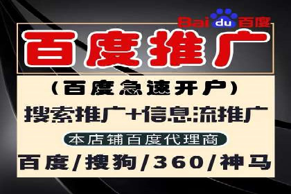 百度竞价代理技巧：经典成功案例解析
